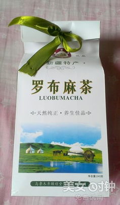 羅布麻茶 源自新疆的養生之道，降三高從一袋茶開始